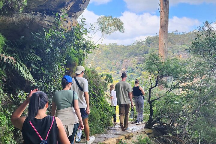 Découvrez les magnifiques Blue Mountains depuis Sydney avec des randonnées vers des cascades, des points de vue panoramiques et des conseils locaux lors d'un tour en petit groupe, photo 14 | wizardtrip