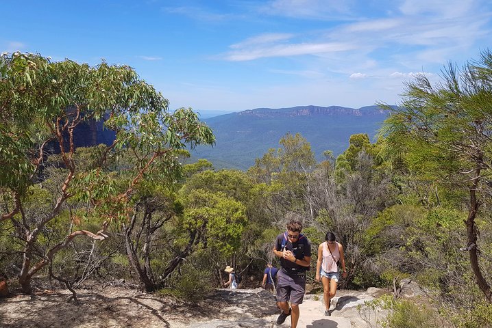 Découvrez les magnifiques Blue Mountains depuis Sydney avec des randonnées vers des cascades, des points de vue panoramiques et des conseils locaux lors d'un tour en petit groupe, photo 17 | wizardtrip