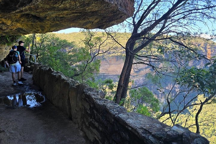 Découvrez les magnifiques Blue Mountains depuis Sydney avec des randonnées vers des cascades, des points de vue panoramiques et des conseils locaux lors d'un tour en petit groupe, photo 29 | wizardtrip