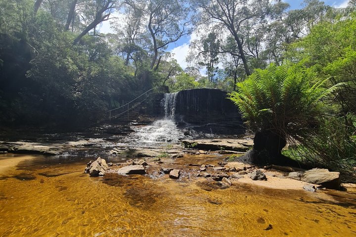 Découvrez les magnifiques Blue Mountains depuis Sydney avec des randonnées vers des cascades, des points de vue panoramiques et des conseils locaux lors d'un tour en petit groupe, photo 40 | wizardtrip