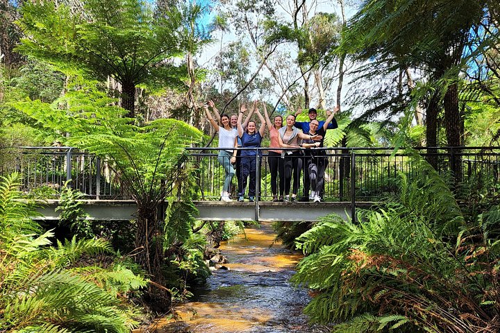 Découvrez les magnifiques Blue Mountains depuis Sydney avec des randonnées vers des cascades, des points de vue panoramiques et des conseils locaux lors d'un tour en petit groupe, photo 41 | wizardtrip