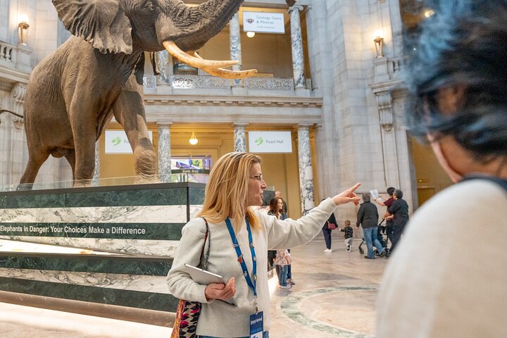 Smithsonian "Big 3" Highlights Tour (Air & Space Entry Included) | wizardtrip