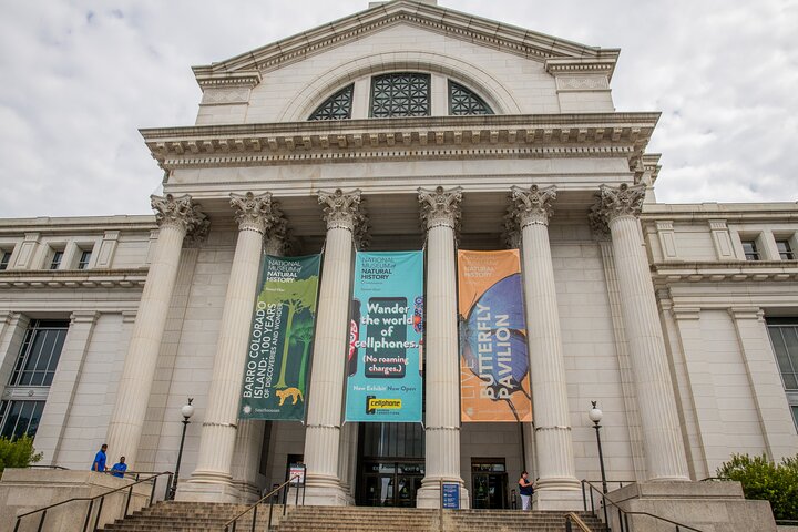 Recorrido guiado por los 3 museos principales del Smithsonian en Washington DC, incluido Air & Space, foto 6 | wizardtrip