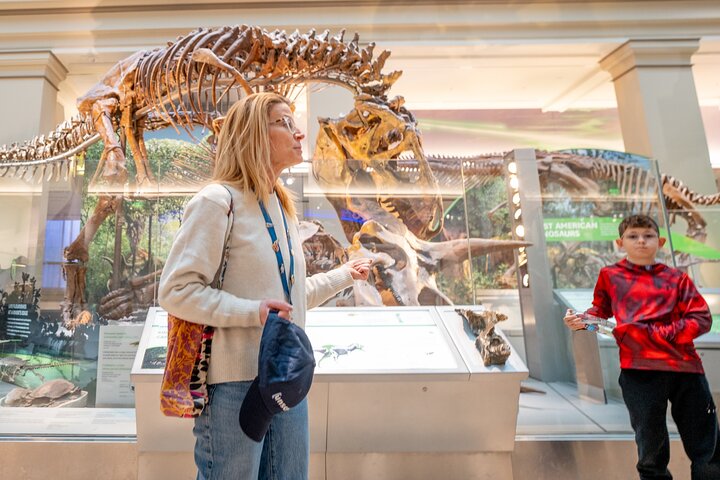 Recorrido guiado por los 3 museos principales del Smithsonian en Washington DC, incluido Air & Space, foto 9 | wizardtrip