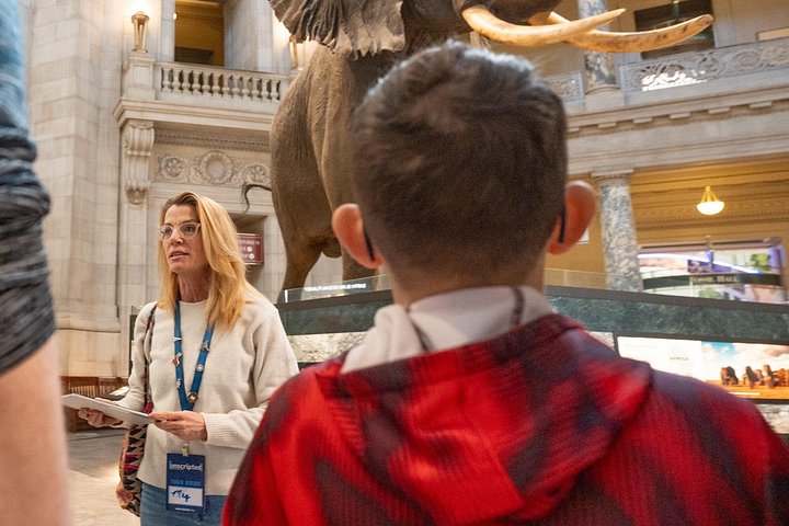 Recorrido guiado por los 3 museos principales del Smithsonian en Washington DC, incluido Air & Space, foto 12 | wizardtrip