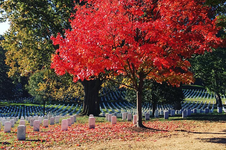 Guidet vandretur i Arlington National Cemetery, Washington DC, med vagtskifteceremoni, foto 11 | wizardtrip