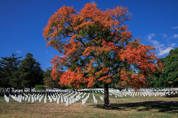 Guidet vandretur i Arlington National Cemetery, Washington DC, med vagtskifteceremoni, foto 21 | wizardtrip