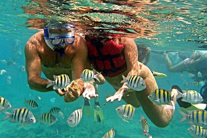 Roatan strandutflukt med snorkling, dyrelivsmøter og en privat strandpause, foto 7 | wizardtrip