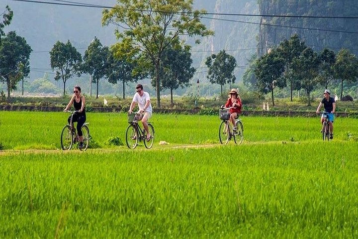Excursion privée d'une journée à Ninh Binh depuis Hanoï, avec paysages, balades en bateau et sites culturels, photo 10 | wizardtrip