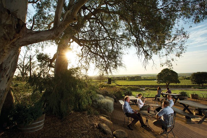 Passeio de autocarro hop-on hop-off pela cénica região vinícola de Barossa Valley na Austrália, foto 6 | wizardtrip