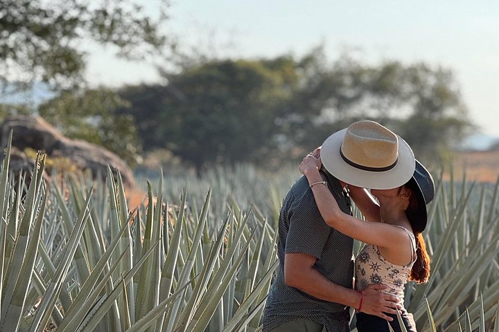 Excursion d'une journée à Tequila, Mexique, avec dégustations, vues panoramiques et fêtes animées, photo 9 | wizardtrip