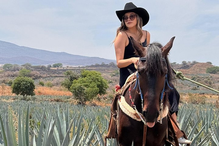 Excursion d'une journée à Tequila, Mexique, avec dégustations, vues panoramiques et fêtes animées, photo 12 | wizardtrip