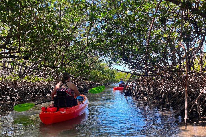 Bonita Springs Øko Kajaktur – Premium Udstyr & Klare Kajakker | wizardtrip