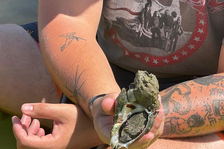 Öko-Kajak-Tour in Bonita Springs, Erkundung von Mangroventunneln und Tierwelt, Foto 14 | wizardtrip