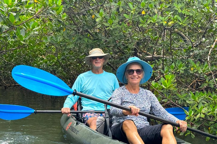 Öko-Kajak-Tour in Bonita Springs, Erkundung von Mangroventunneln und Tierwelt, Foto 17 | wizardtrip