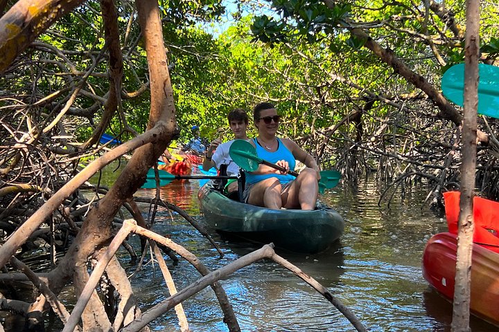 Öko-Kajak-Tour in Bonita Springs, Erkundung von Mangroventunneln und Tierwelt, Foto 18 | wizardtrip