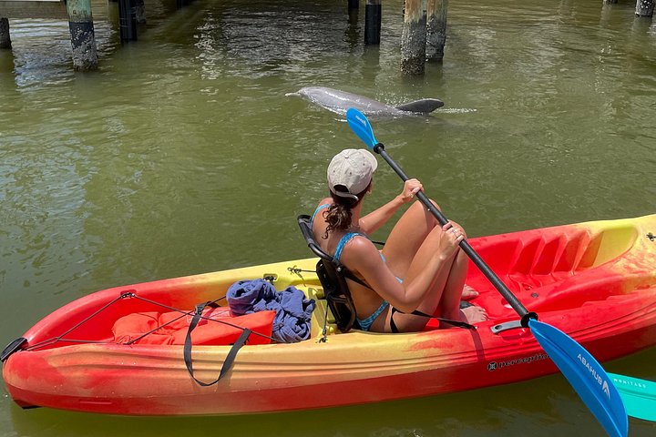 Öko-Kajak-Tour in Bonita Springs, Erkundung von Mangroventunneln und Tierwelt, Foto 19 | wizardtrip