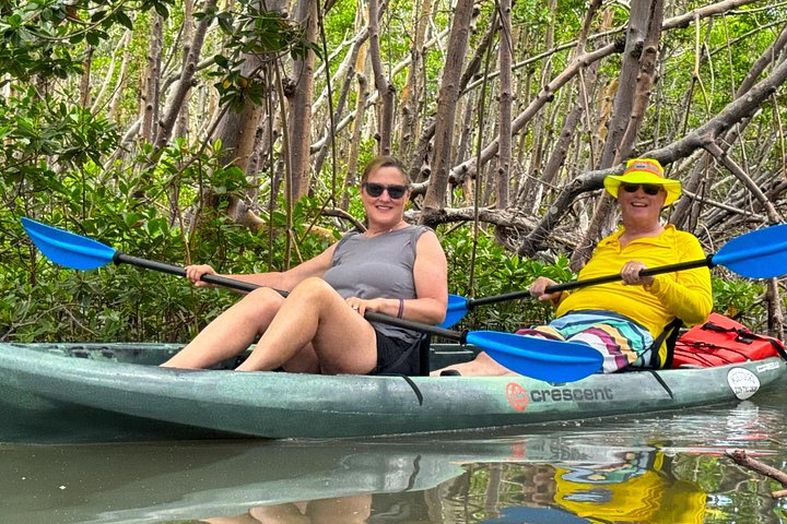 Öko-Kajak-Tour in Bonita Springs, Erkundung von Mangroventunneln und Tierwelt, Foto 22 | wizardtrip