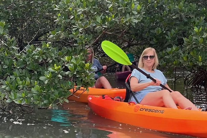 Öko-Kajak-Tour in Bonita Springs, Erkundung von Mangroventunneln und Tierwelt, Foto 23 | wizardtrip