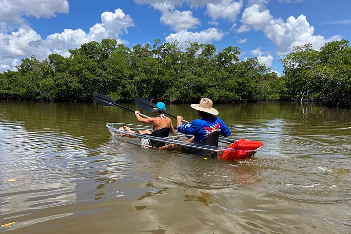 Öko-Kajak-Tour in Bonita Springs, Erkundung von Mangroventunneln und Tierwelt, Foto 25 | wizardtrip