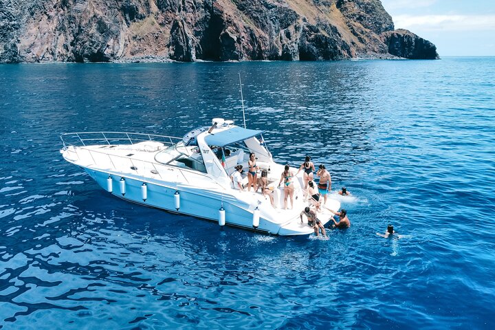 Tour de avistamiento de ballenas y delfines en Madeira a bordo de un yate, con oportunidades para nadar y hacer turismo, foto 6 | wizardtrip
