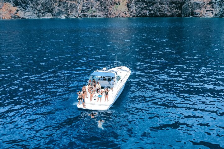 Tour de avistamiento de ballenas y delfines en Madeira a bordo de un yate, con oportunidades para nadar y hacer turismo, foto 8 | wizardtrip