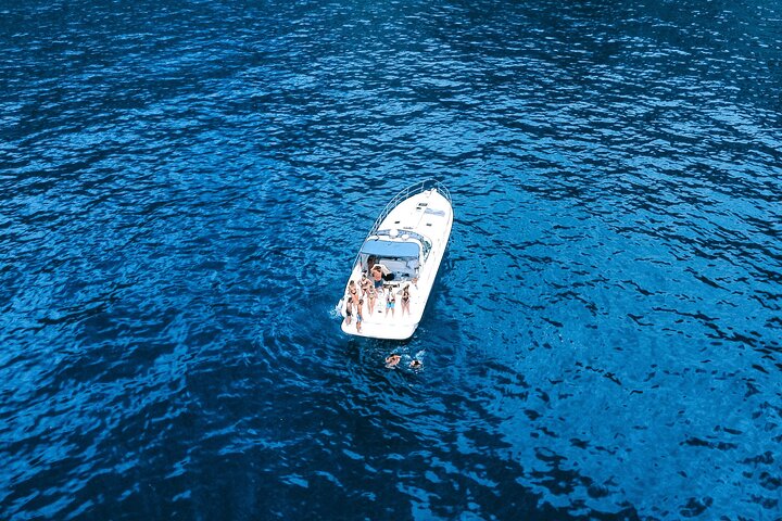 Tour de avistamiento de ballenas y delfines en Madeira a bordo de un yate, con oportunidades para nadar y hacer turismo, foto 10 | wizardtrip