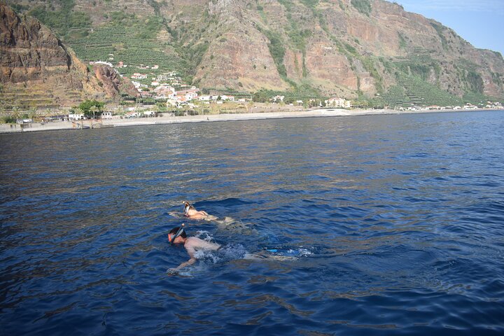 Tour de avistamiento de ballenas y delfines en Madeira a bordo de un yate, con oportunidades para nadar y hacer turismo, foto 11 | wizardtrip