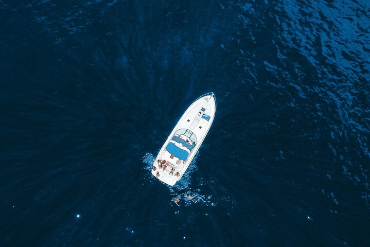 Tour de avistamiento de ballenas y delfines en Madeira a bordo de un yate, con oportunidades para nadar y hacer turismo, foto 12 | wizardtrip