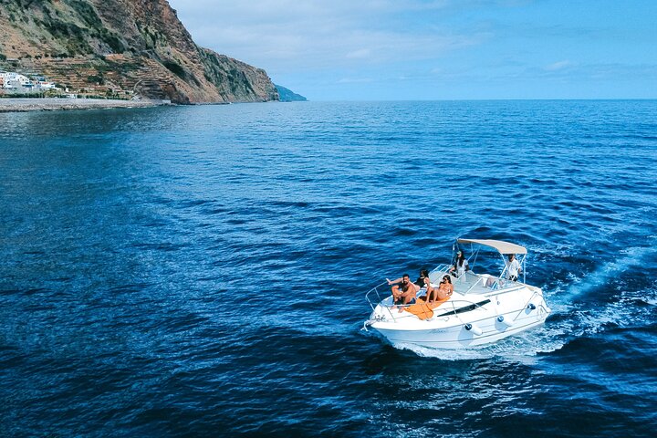 Tour de avistamiento de ballenas y delfines en Madeira a bordo de un yate, con oportunidades para nadar y hacer turismo, foto 17 | wizardtrip