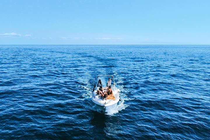 Tour de avistamiento de ballenas y delfines en Madeira a bordo de un yate, con oportunidades para nadar y hacer turismo, foto 19 | wizardtrip
