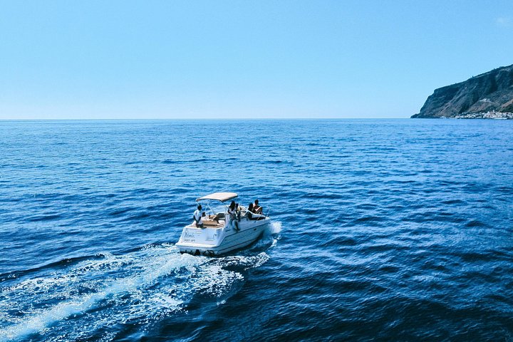 Tour de avistamiento de ballenas y delfines en Madeira a bordo de un yate, con oportunidades para nadar y hacer turismo, foto 22 | wizardtrip