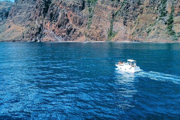 Tour de avistamiento de ballenas y delfines en Madeira a bordo de un yate, con oportunidades para nadar y hacer turismo, foto 23 | wizardtrip