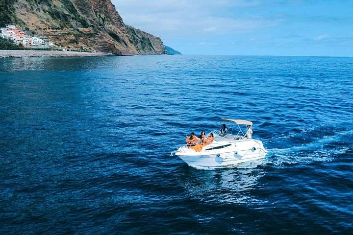 Tour de avistamiento de ballenas y delfines en Madeira a bordo de un yate, con oportunidades para nadar y hacer turismo, foto 24 | wizardtrip