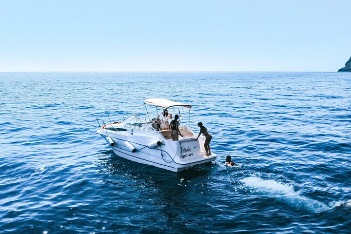 Tour de avistamiento de ballenas y delfines en Madeira a bordo de un yate, con oportunidades para nadar y hacer turismo, foto 25 | wizardtrip