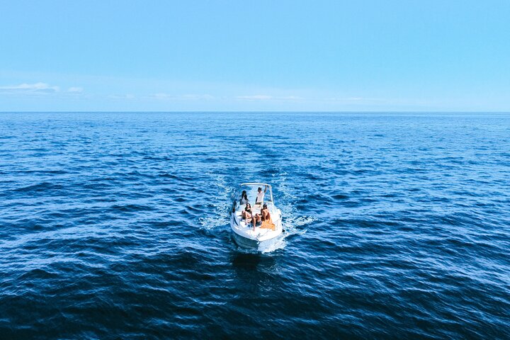 Tour de avistamiento de ballenas y delfines en Madeira a bordo de un yate, con oportunidades para nadar y hacer turismo, foto 26 | wizardtrip