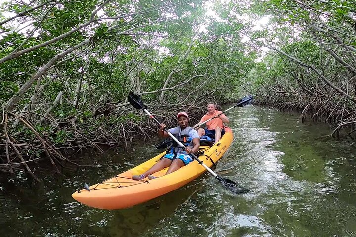 Guidet kajakk-økotur gjennom Key Lagos mangroveøkosystem, med mulighet for å se dyreliv, foto 9 | wizardtrip