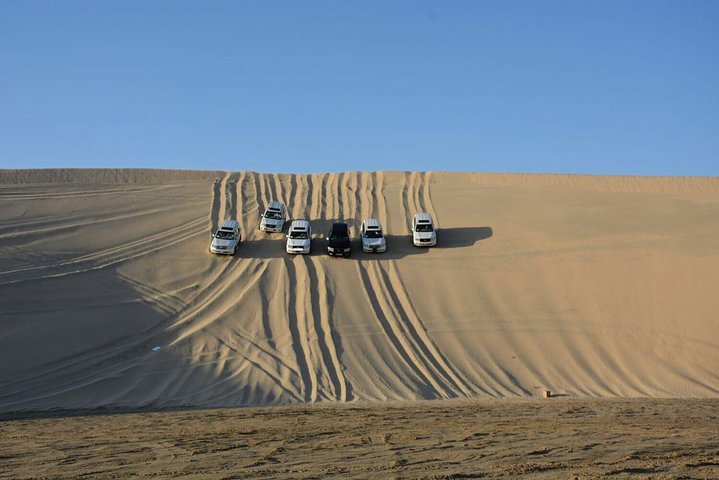 Oplev en spændende ørkensafari i Doha med dune bashing, kamelridt og sandboarding, foto 7 | wizardtrip