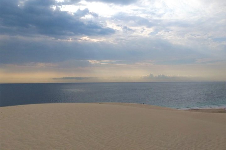 Oplev en spændende ørkensafari i Doha med dune bashing, kamelridt og sandboarding, foto 8 | wizardtrip