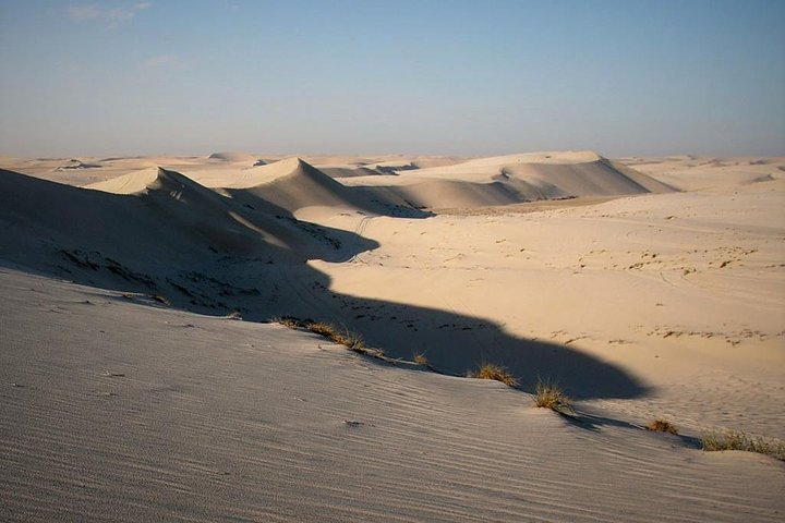 Oplev en spændende ørkensafari i Doha med dune bashing, kamelridt og sandboarding, foto 10 | wizardtrip