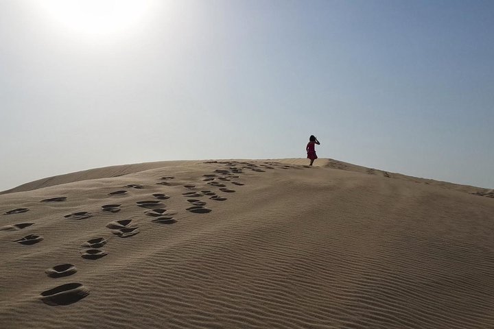 Oplev en spændende ørkensafari i Doha med dune bashing, kamelridt og sandboarding, foto 13 | wizardtrip