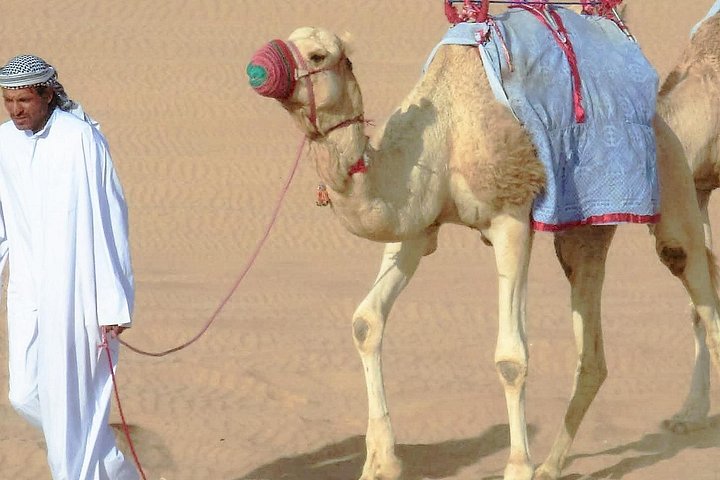 Oplev en spændende ørkensafari i Doha med dune bashing, kamelridt og sandboarding, foto 14 | wizardtrip