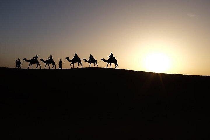 Doha solnedgangssafari med sanddyneduring, kamelridning og besøk til Inland Sea, foto 10 | wizardtrip