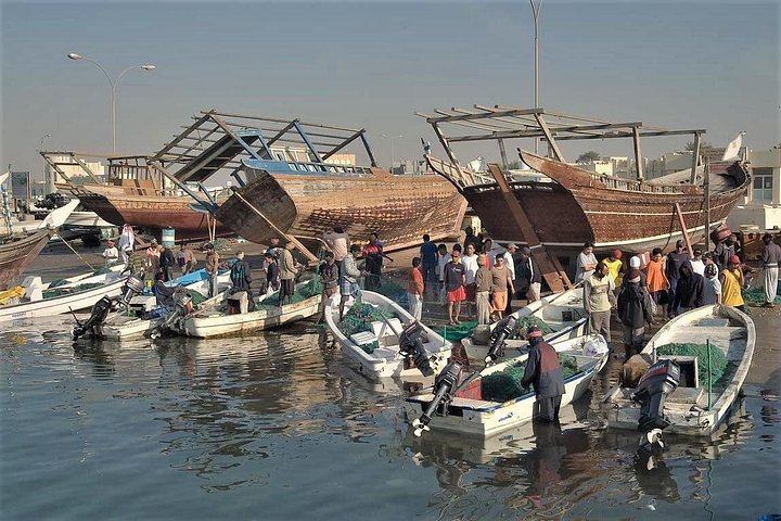 Verken historische forten, levendige mangroves en schilderachtige kustlijnen tijdens een halve dagtour door Noord-Qatar, foto 10 | wizardtrip