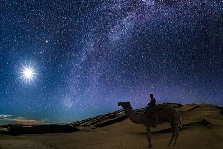 Night desert safari in Doha with dune bashing and camel rides, photo 8 | wizardtrip