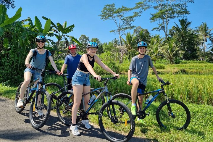 Ubud: Downhill Cycling Adventure with Volcano Views, Rice Terraces, and Local Meal | wizardtrip