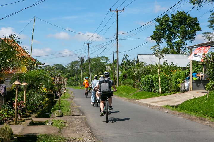 Sykkeltur nedover i Ubud, Bali, som viser vulkan, risterrasser og lokal kultur, foto 6 | wizardtrip