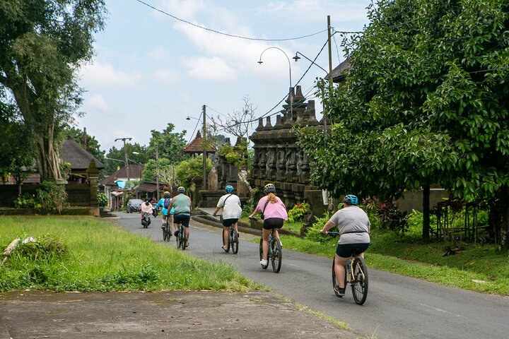 Sykkeltur nedover i Ubud, Bali, som viser vulkan, risterrasser og lokal kultur, foto 9 | wizardtrip