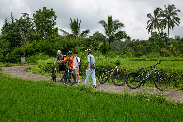 Sykkeltur nedover i Ubud, Bali, som viser vulkan, risterrasser og lokal kultur, foto 10 | wizardtrip