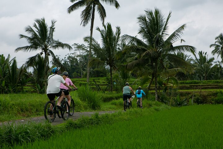 Sykkeltur nedover i Ubud, Bali, som viser vulkan, risterrasser og lokal kultur, foto 11 | wizardtrip